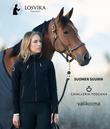 Ivory and Gold Clean Aesthetic Fall Instagram Post 1920 x 800 px 360 x 420 px 1080 x 1350 px 1080 x 1350 px 1080 x 1350 px 2